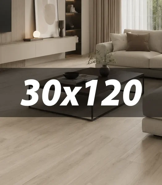 30X120